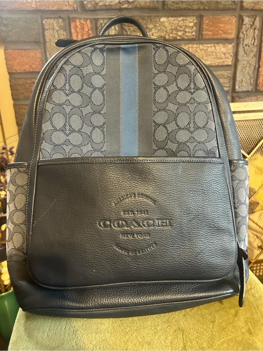 Coach Thompson Backpack with Leather Brand Patch